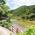 월악 파머스 캠핑장