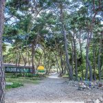 솔베이오토캠핑장