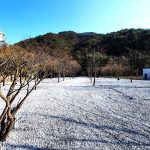 제천솔내음캠핑장