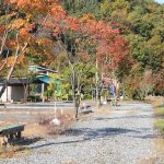 여울애꽃물들인 캠핑장