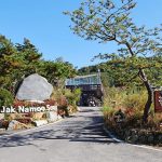 포천 청계호수자작나무숲캠핑장