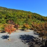 청도 그린나래오토캠핑장