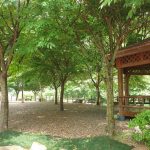 문경 녹색오토캠핑장