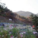 송하루오토캠핑장