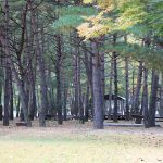 진부관광농원캠핑장