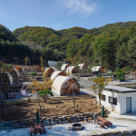 천안 몽키캠핑장