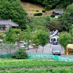 물안개오토캠핑장