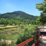 연산 황산벌오토캠핑장