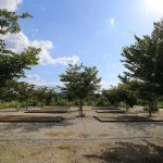 정이품송캠핑장