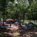 평창 북극곰캠핑장