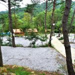 곡성 아리솔캠핑장