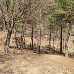 에코밸리캠핑장