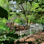 영월천문대캠핑장