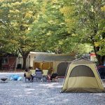 양주 비타민캠핑장