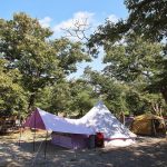 초평밤나무캠핑장