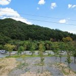 덕동계곡오토캠핑장