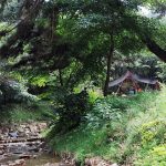 은이골가족캠핑장