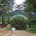 평창 리버파크 캠핑장