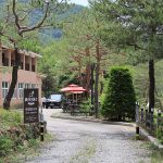 영월 파라다이스캠프