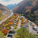 별빛뜰애(愛) 캠핑