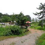 대부도 아라뜰캠핑장