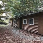 연천 평화강변 수목캠핑장