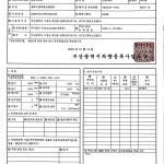 22년식 9500km 스타리아 벤택 라쿤L 풀옵션 캠핑카