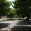 20160618_114948.jpg